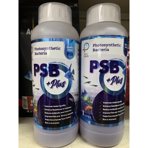 PSB +plus PHOTOSYNTHETIC BACTERIA Beneficial Bacteria（光合菌）1000ml | Shopee  Malaysia