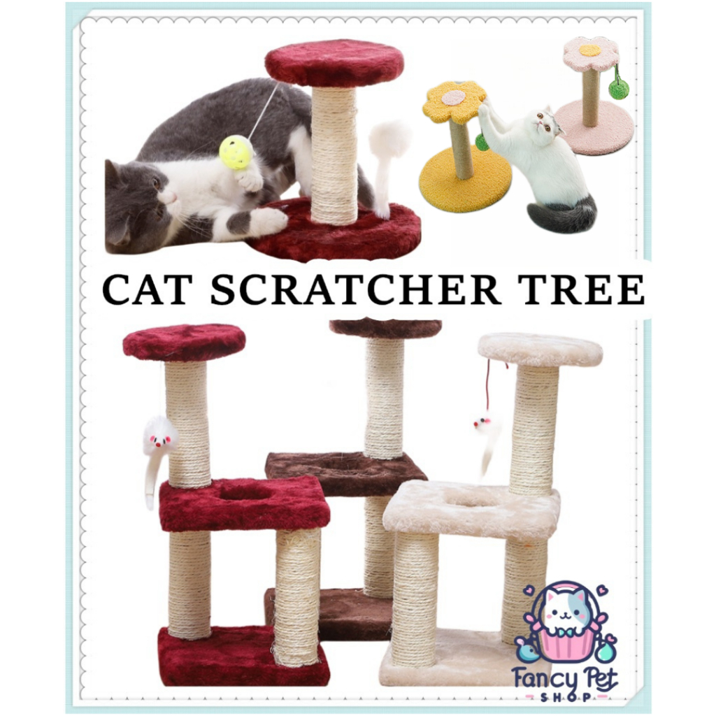 Cat shop scratcher shopee