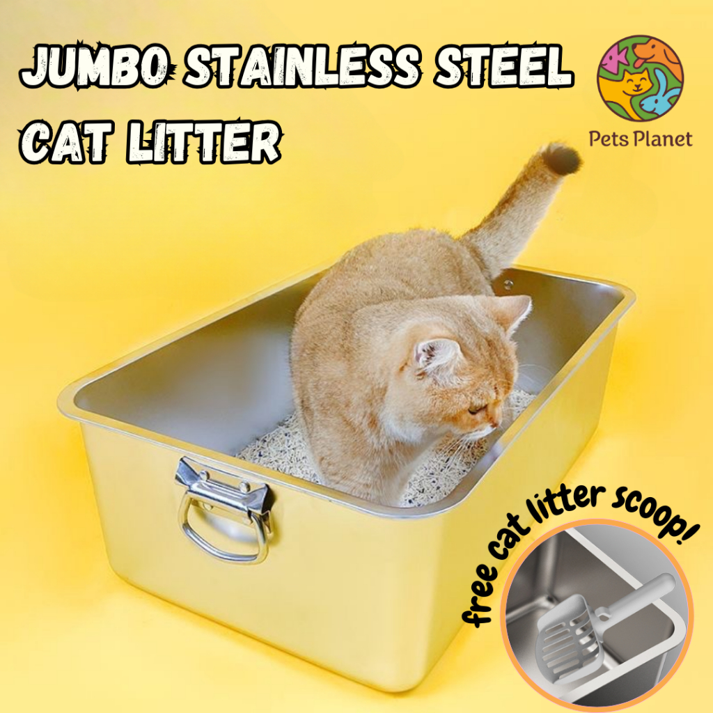 Daily scoop clearance cat litter