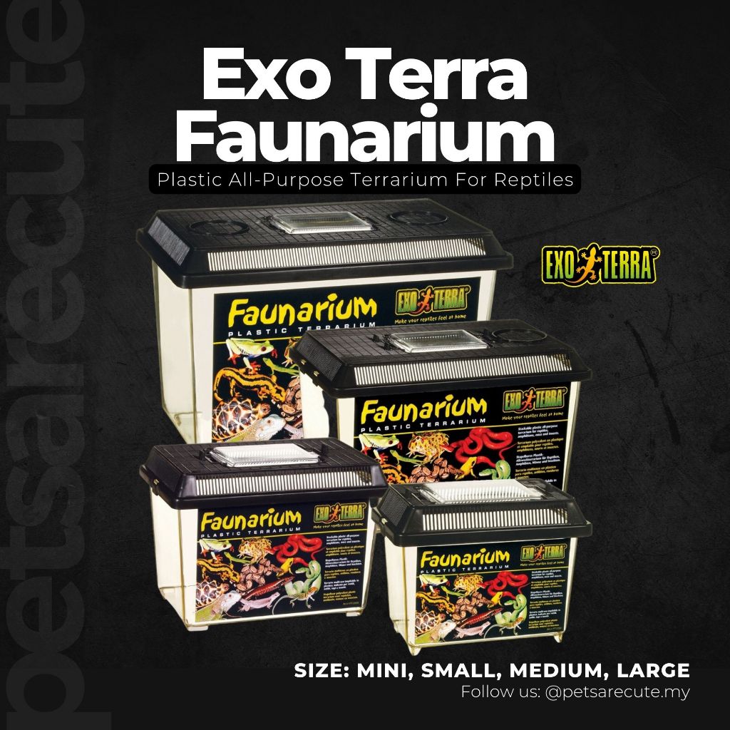 Faunarium clearance plastic terrarium