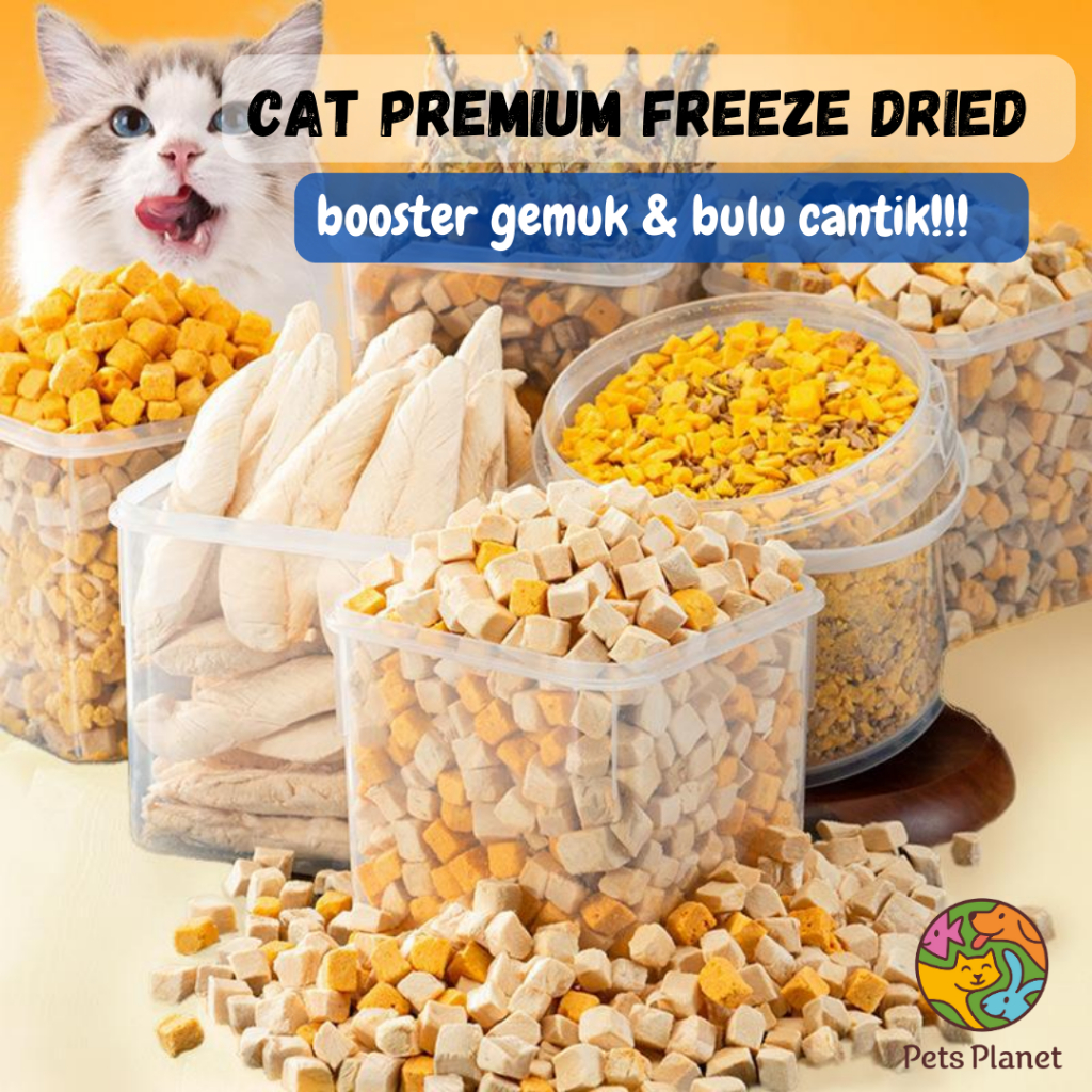 Cat booster hot sale