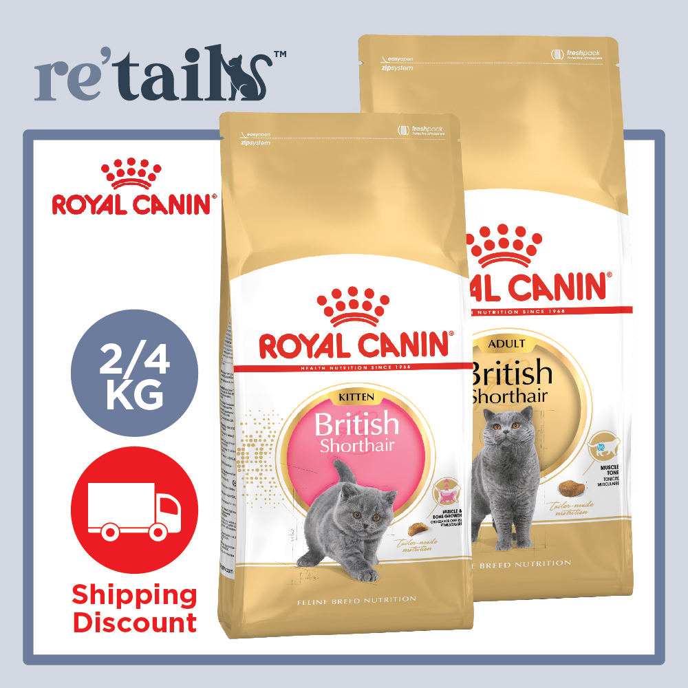 Royal canin british shorthair dry outlet food