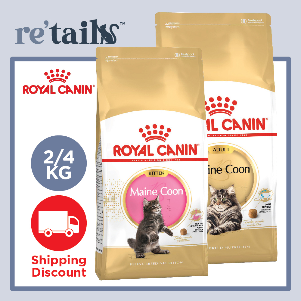 Royal canin kitten maine coon best sale 10 kg