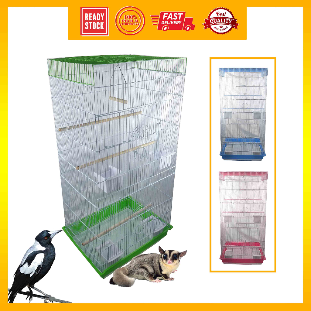 Big sugar glider store cage