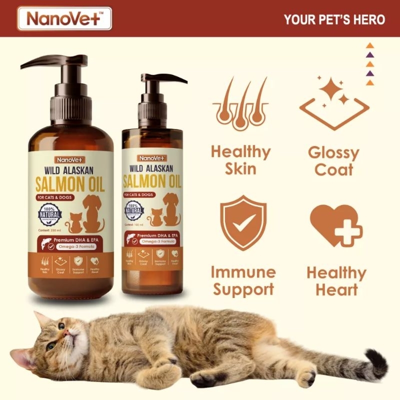 Best salmon clearance oil for cats