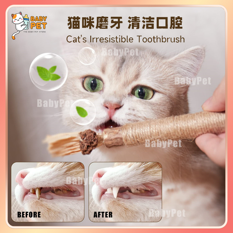 Baby toothbrush cheap for cats