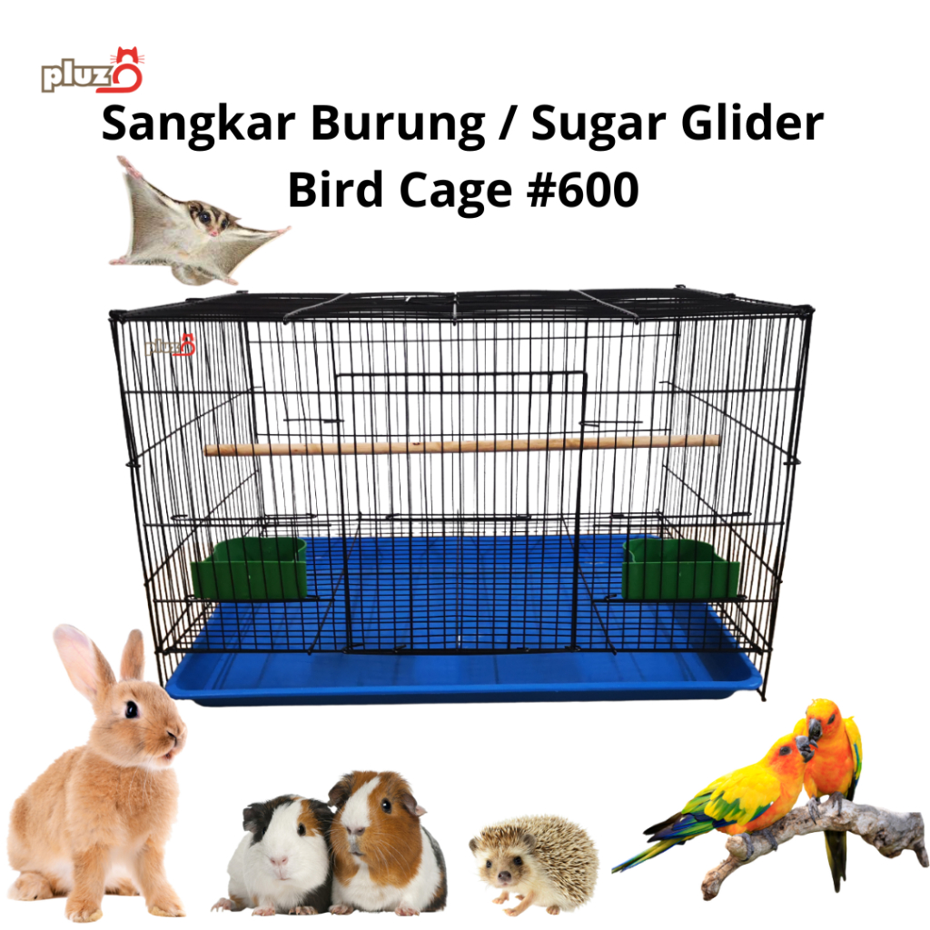 Sangkar store sugar glider