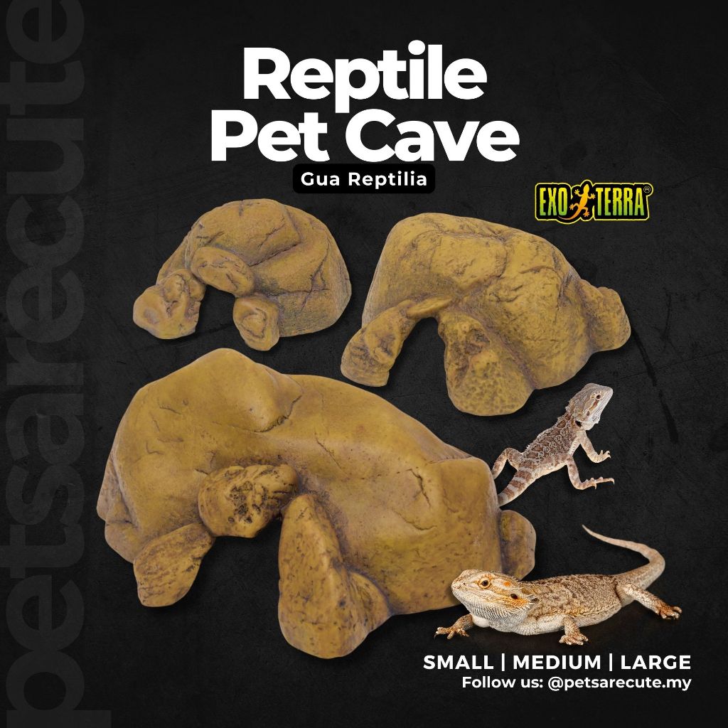 Reptilia 2024 pet shop