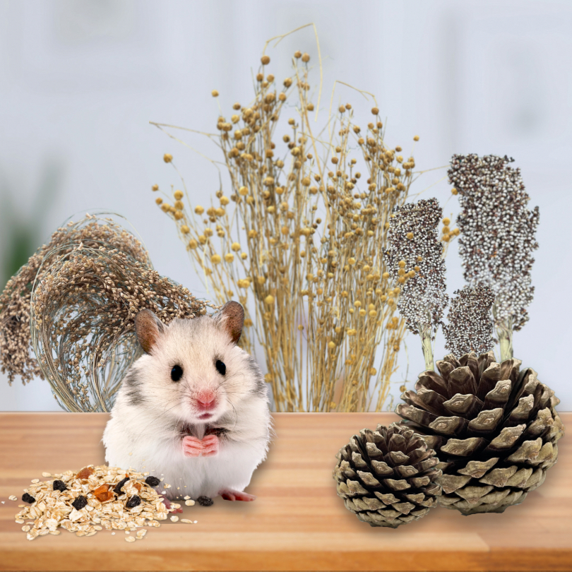 Millet spray clearance hamster