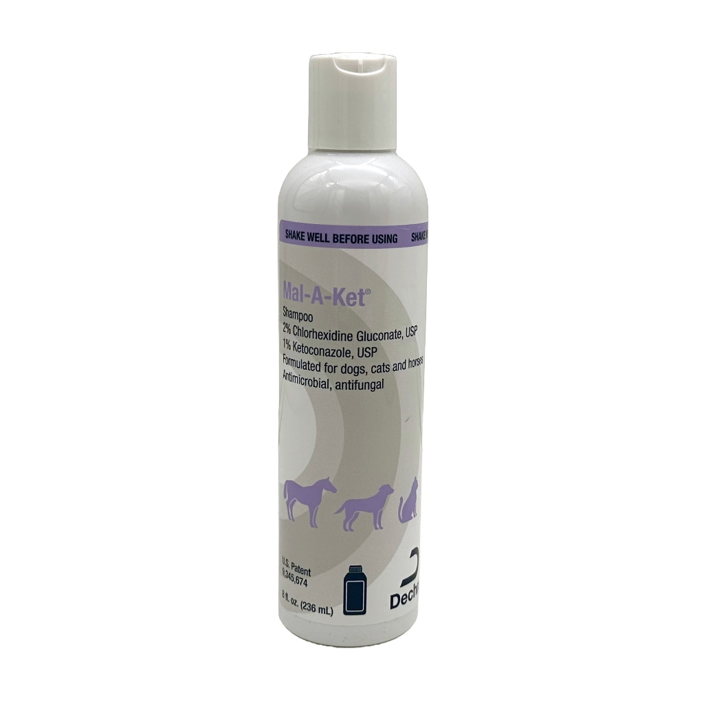 Dechra store dog shampoo