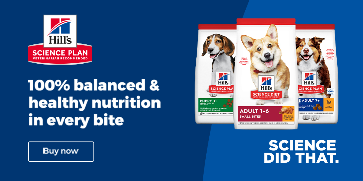 Hills Pet Nutrition Online, July 2024 Shopee Malaysia
