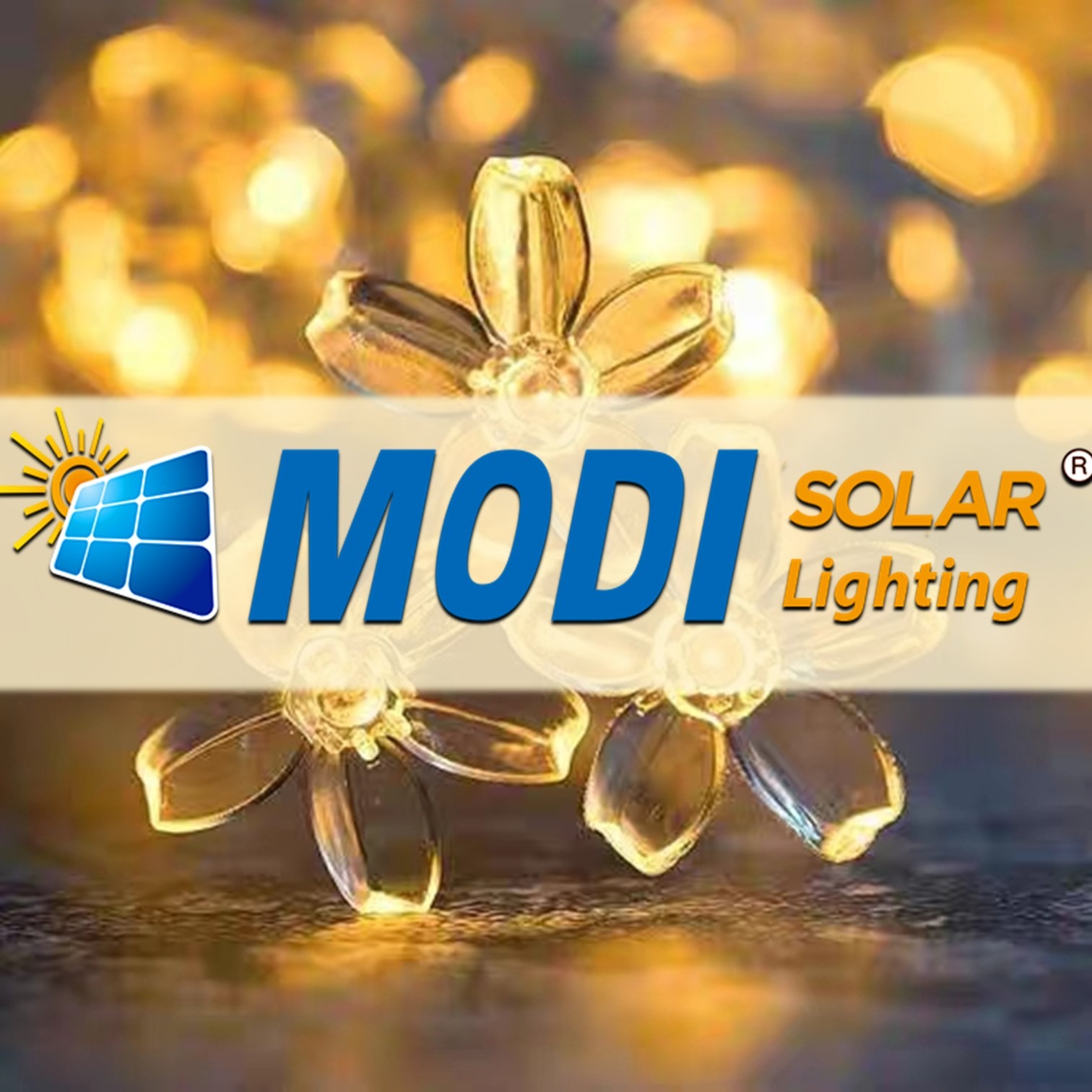 Modi_solar_Light, Online Shop | Shopee Malaysia