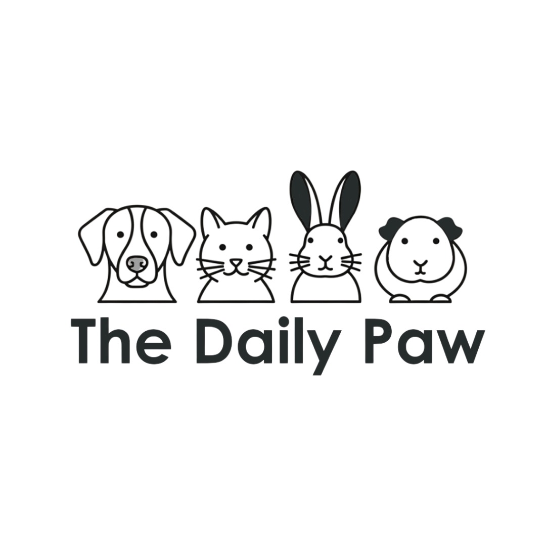 The Daily Paw, Online Shop | Shopee Malaysia