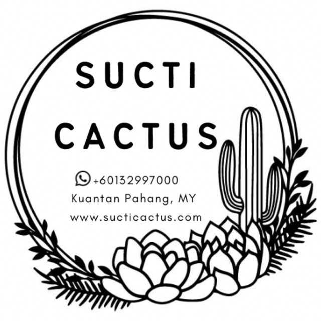 Sucti Cactus Suhk Tai Kak Tuhs Online Shop Shopee Malaysia