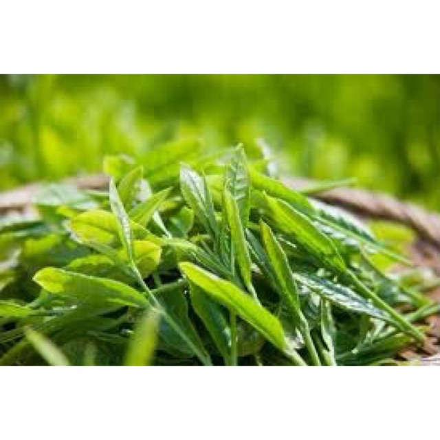 Saigon spring rolls, Online Shop | Shopee Malaysia