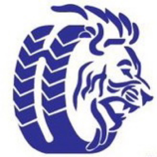 Blue Lion Rims & Tyres (M) Sdn. Bhd, Online Shop | Shopee Malaysia