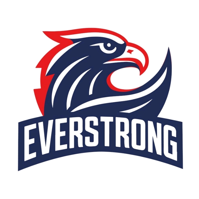 Everstrong Martial Arts and Fitness, Online Shop | Shopee Malaysia