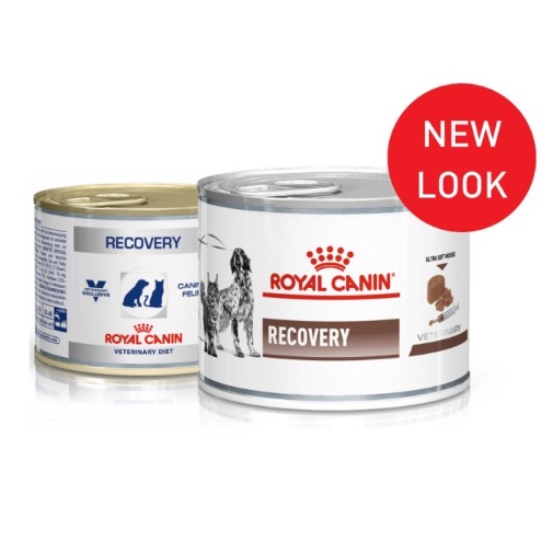 Royal canin recovery clearance cat