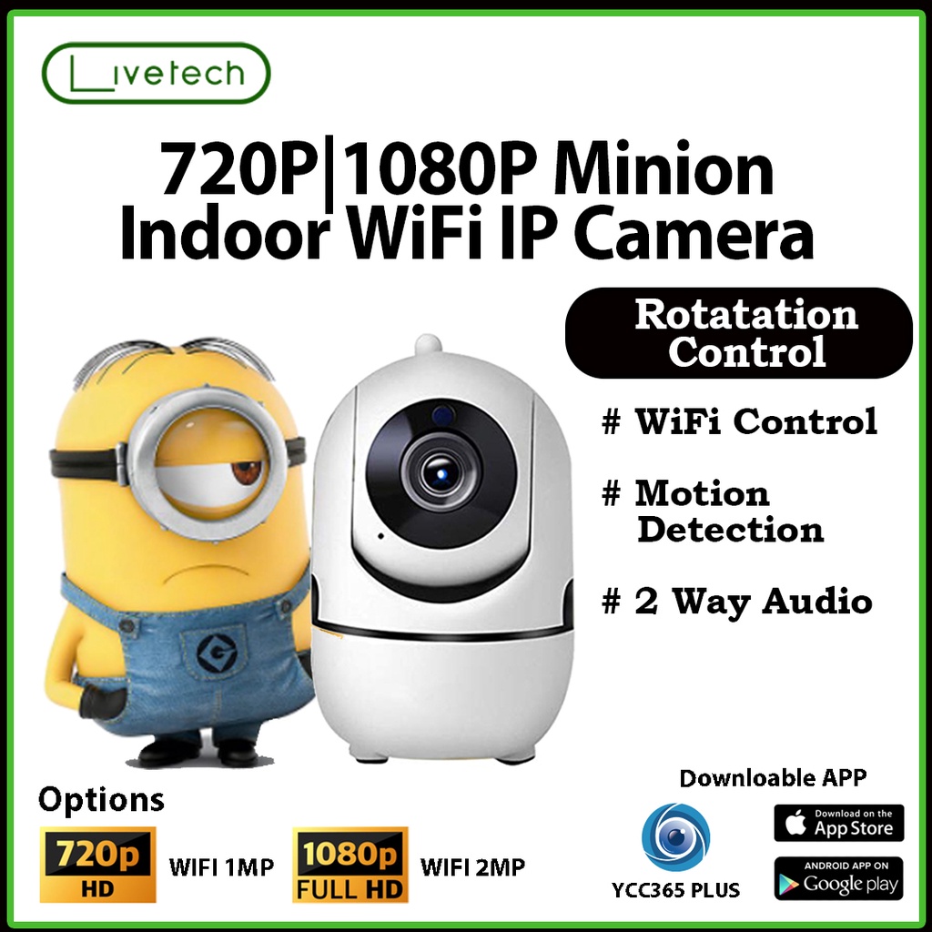 Minion store security camera