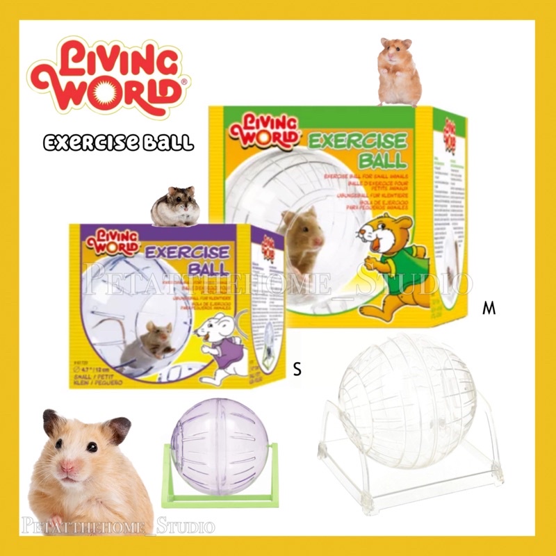 Hamster store ball shopee