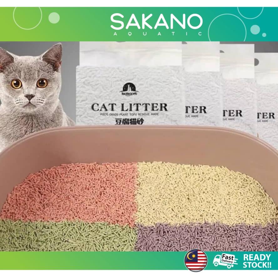 Cat 2024 toilet sand