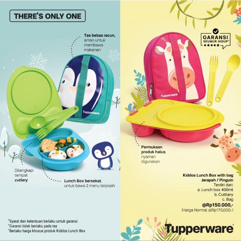 Kiddos lunch set new arrivals