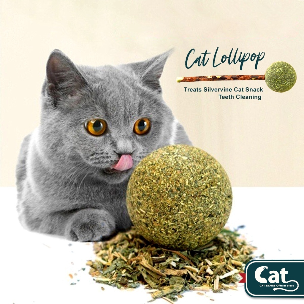 Cat lollipop clearance treat