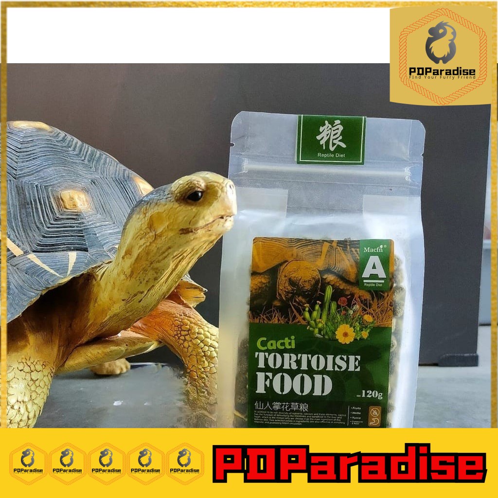 Star tortoise food outlet buy online