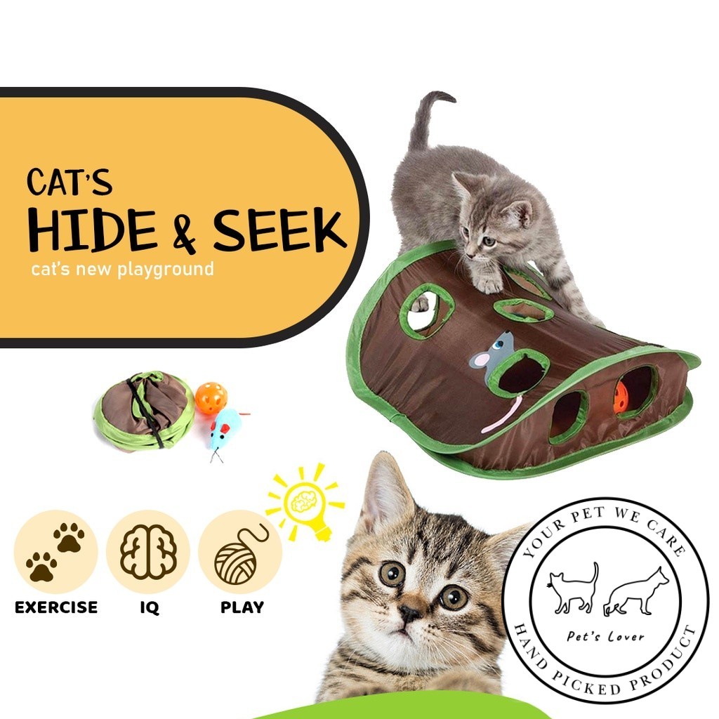 Cat hide best sale and seek toy