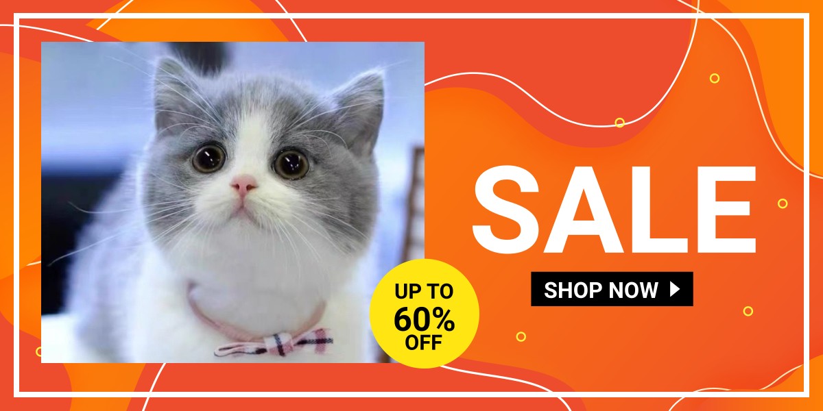 lementforce cat, Online Shop Shopee Malaysia