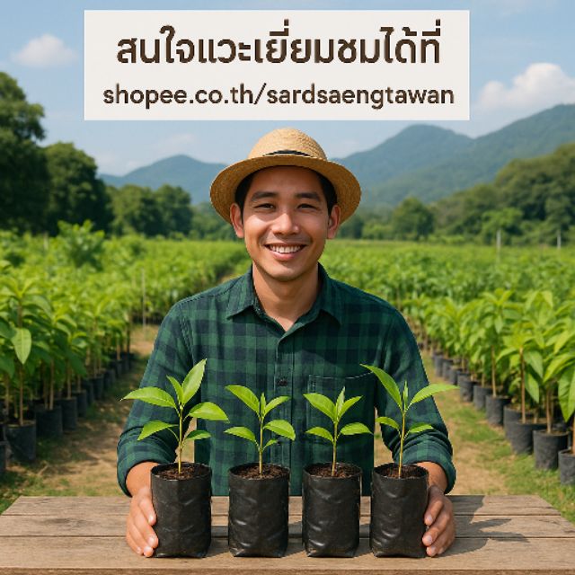 sardsaengtawanme.my, Online Shop | Shopee Malaysia